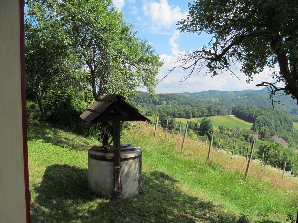 Holiday home Sonnenhaus Svecina